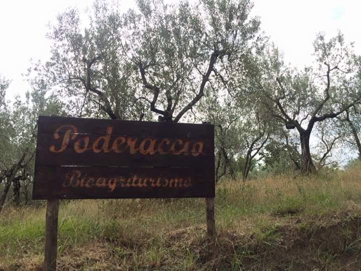 Azienda Agricola Poderaccio Bioagriturismo